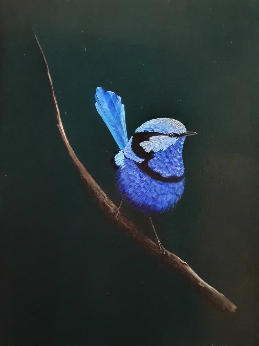 Blue Bird Perch