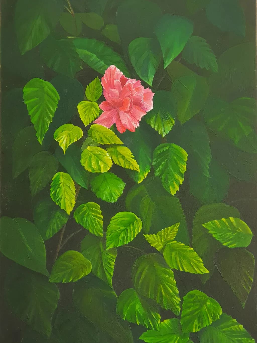 Pink Flower Among Leaves