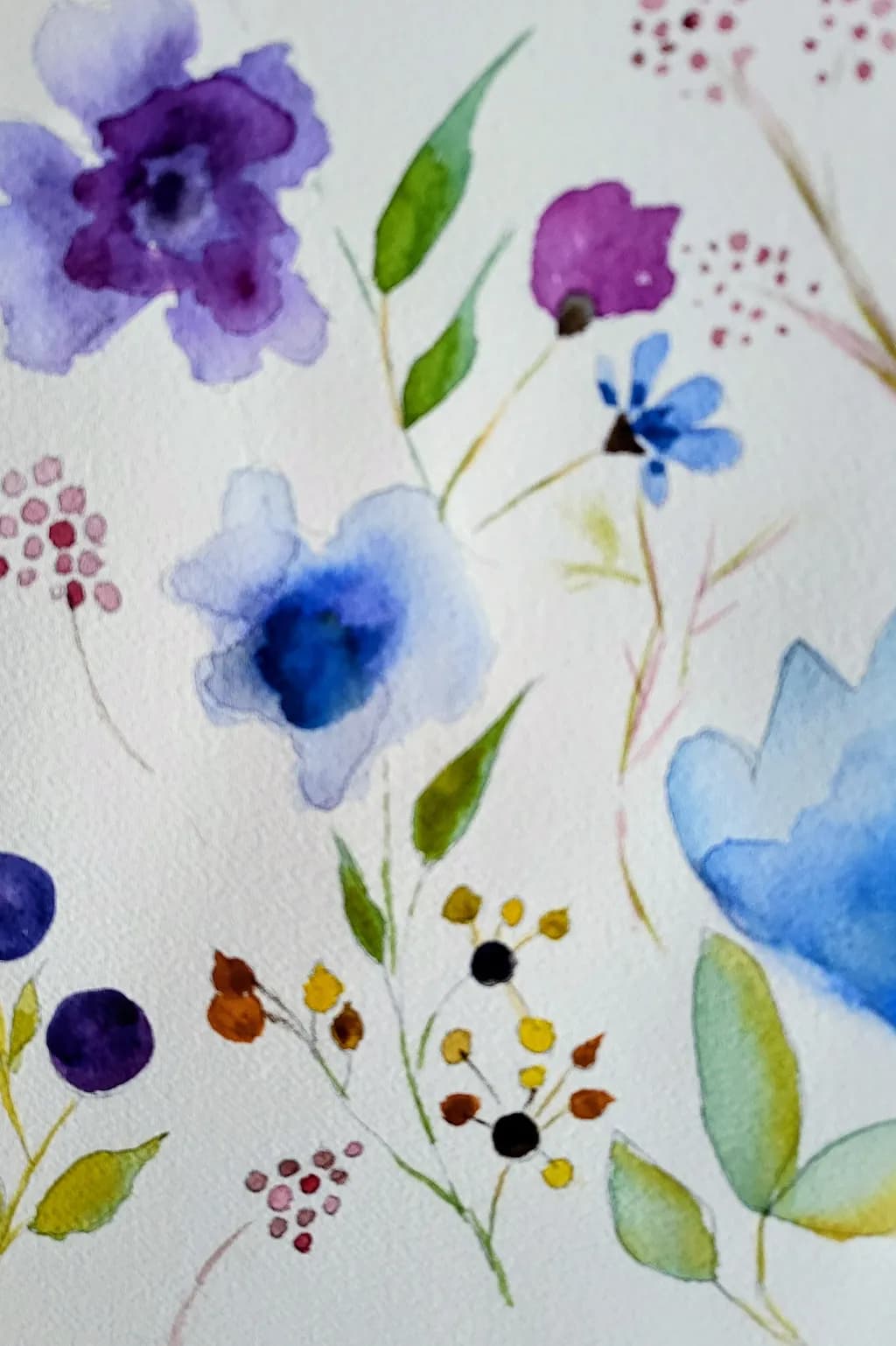 Garden Study