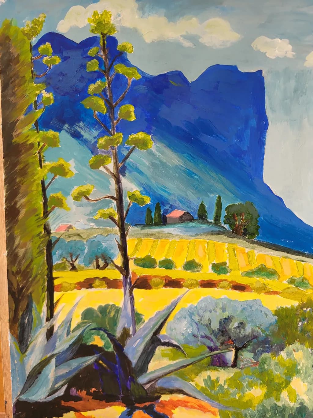 Blue Ridge Fields