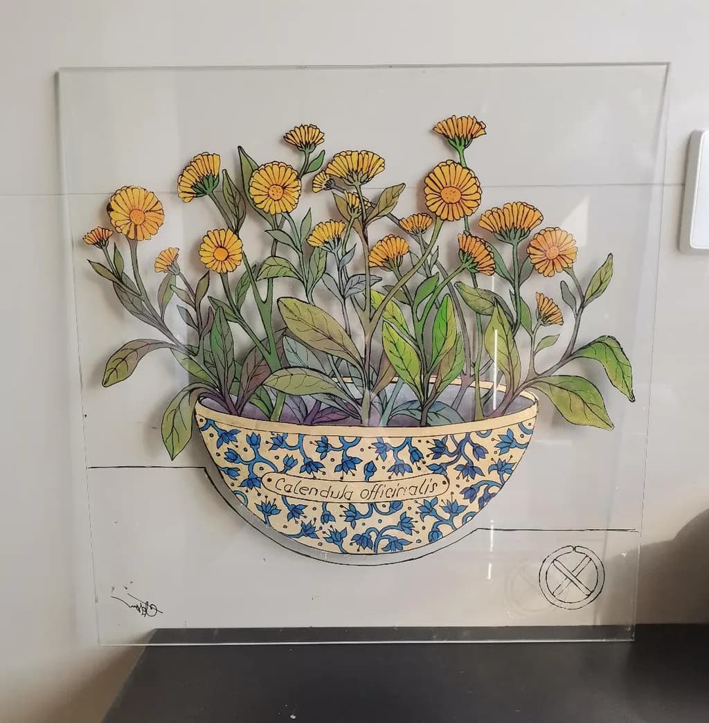 Calendula Bloom