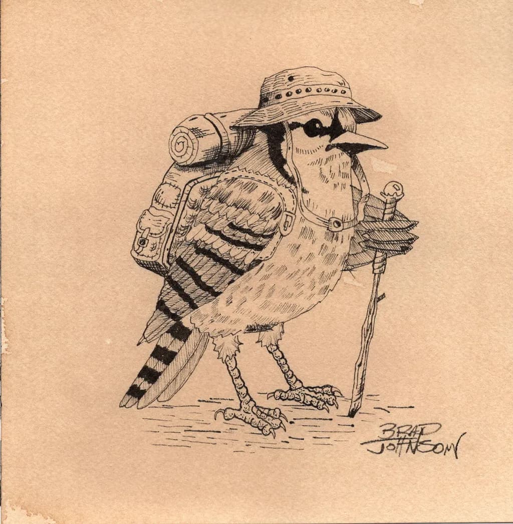 Blue Jay Hiking