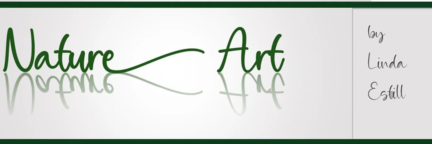 Banner do perfil