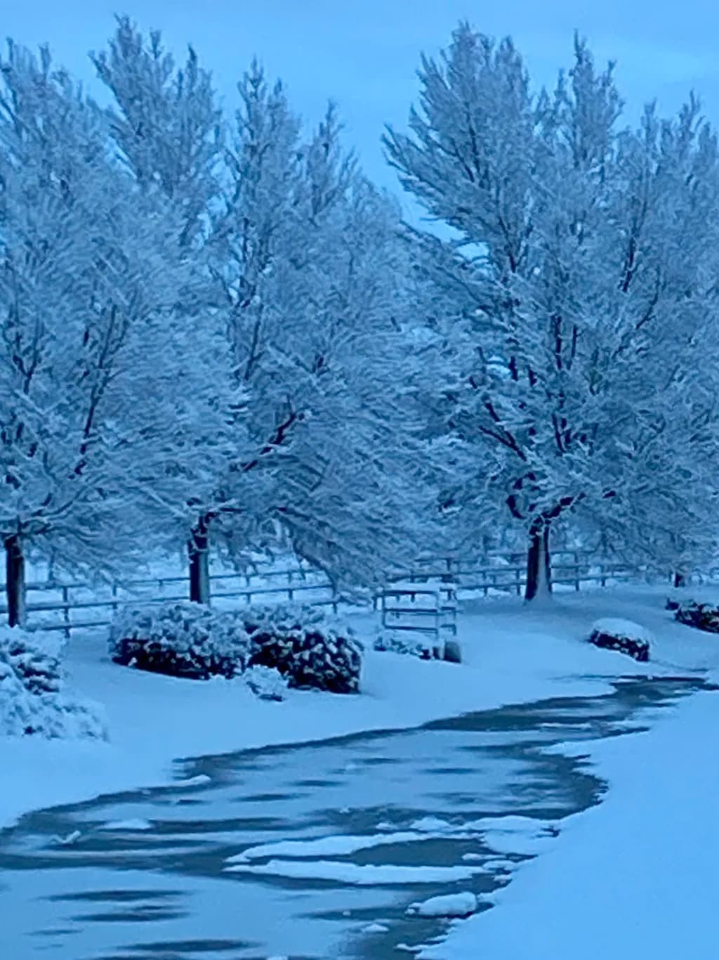 Whispers of Winter: Embracing the Stillness in a Snow-Covered Landscape