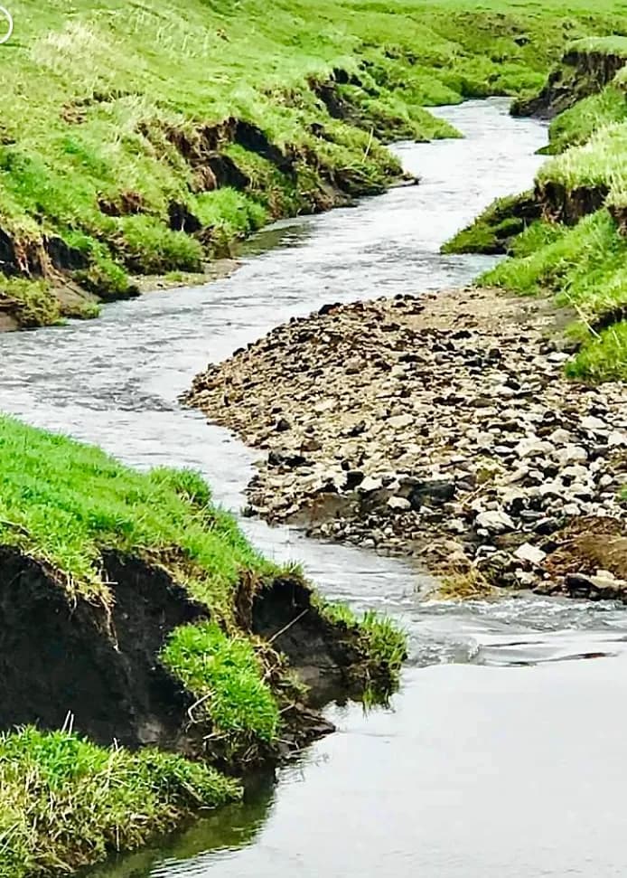Whispers of Water: Embracing Nature's Flow in a Tranquil Landscape