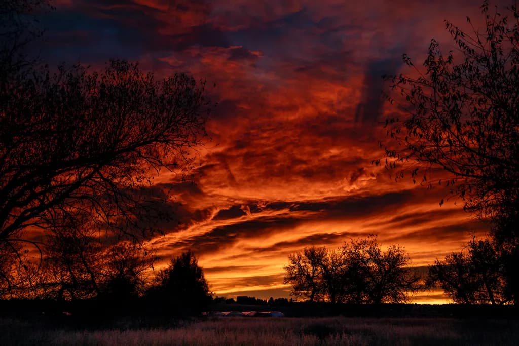 Dramatic Sunset Symphony: A Fiery Dance of Clouds and Trees in Orange Hues