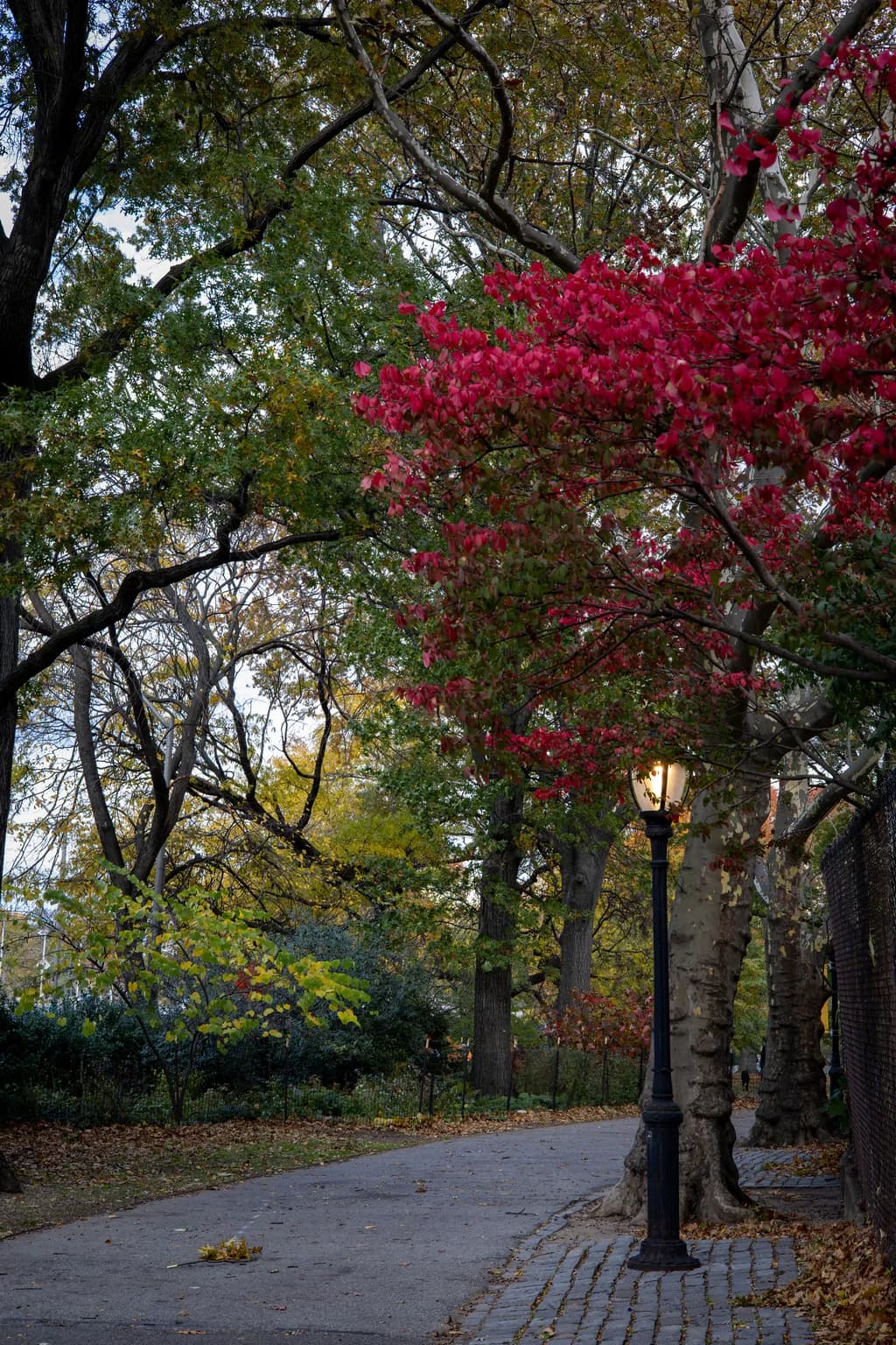 A Walk in the Park