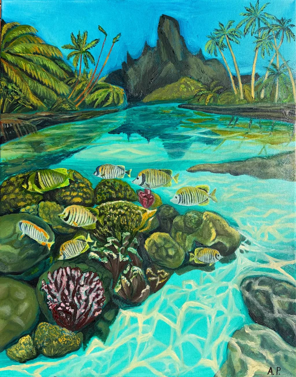 Coral Reef Lagoon