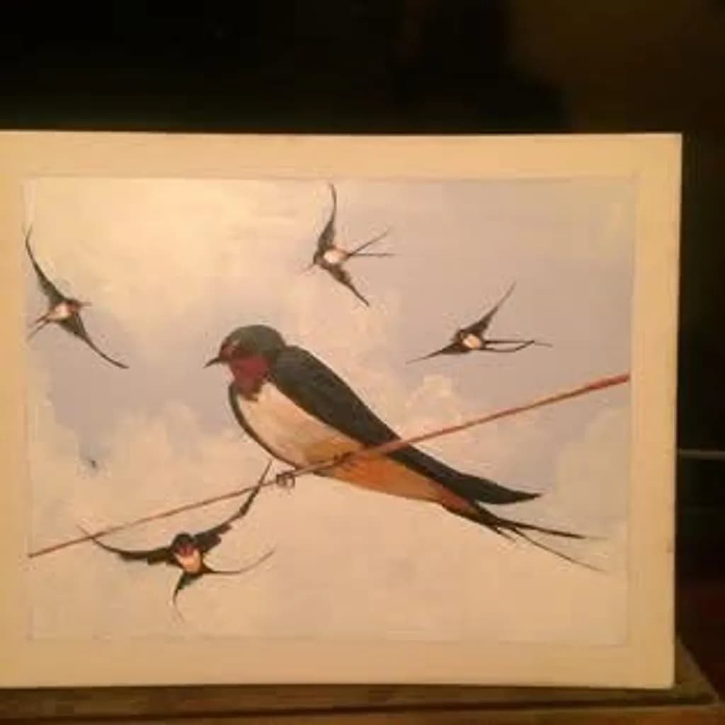 Swallow Perch
