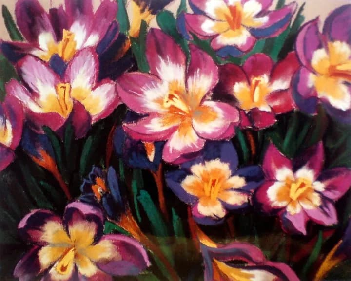 Floral Burst