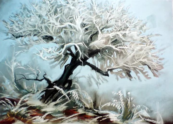 Frosted Branches