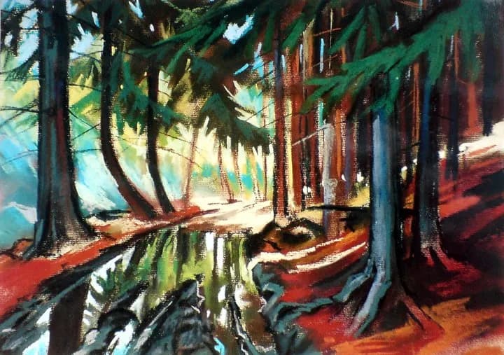 Forest Reflection