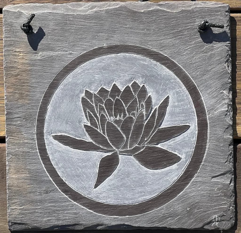 Water Lily