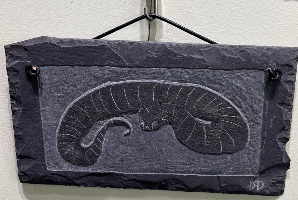 Curled Cat Relief