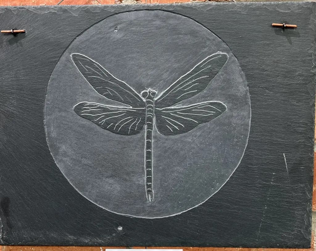 Dragonfly Circle