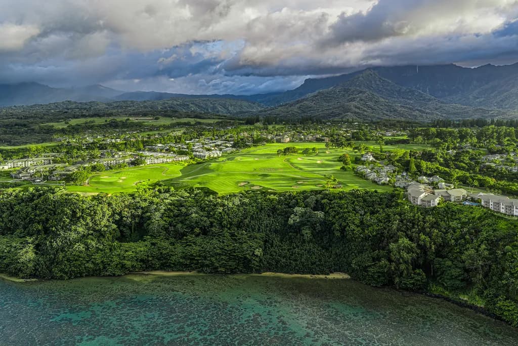 Serenity in Green: A Tranquil Aerial View of Nature's Masterpiece