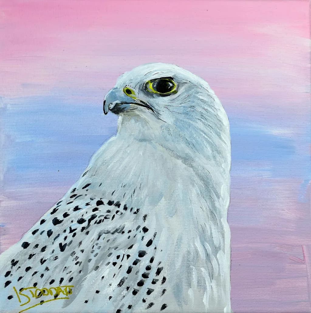 White Eagle Portrait