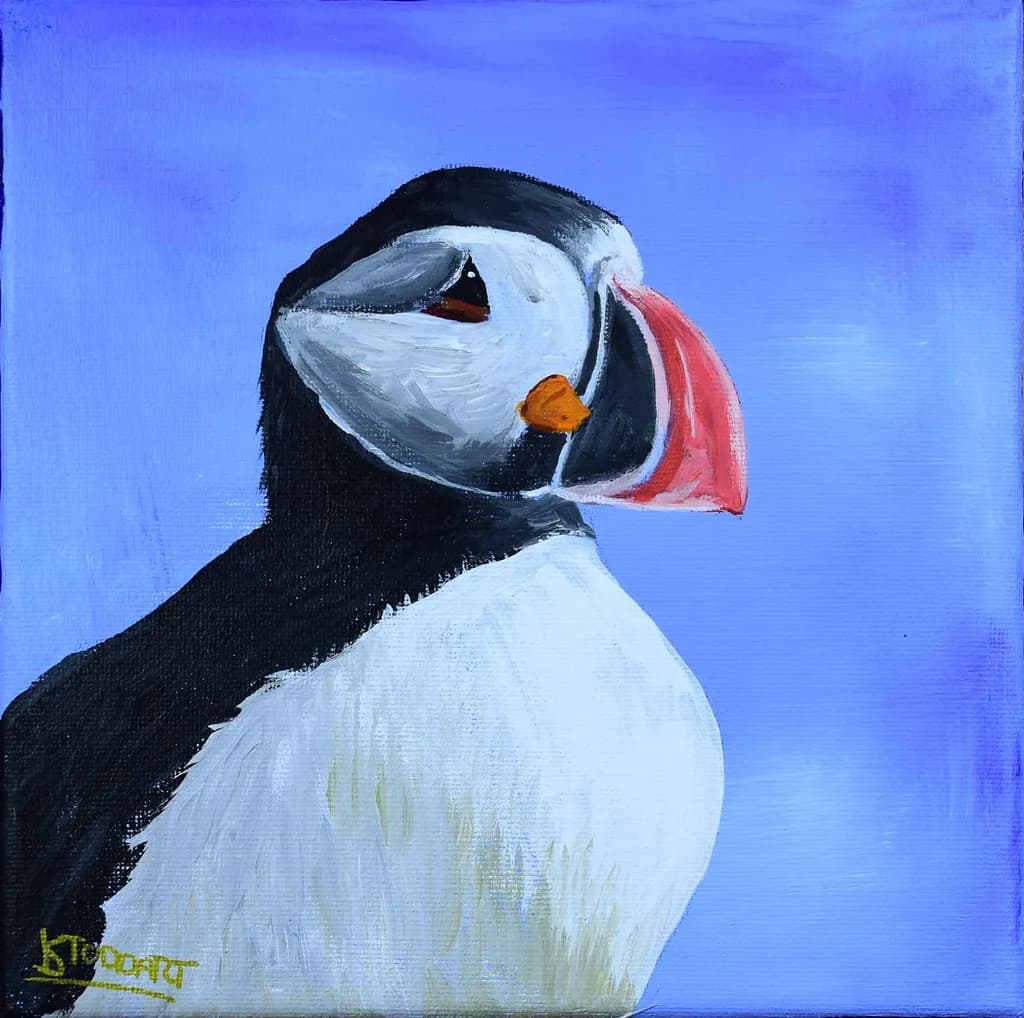 Puffin Portrait