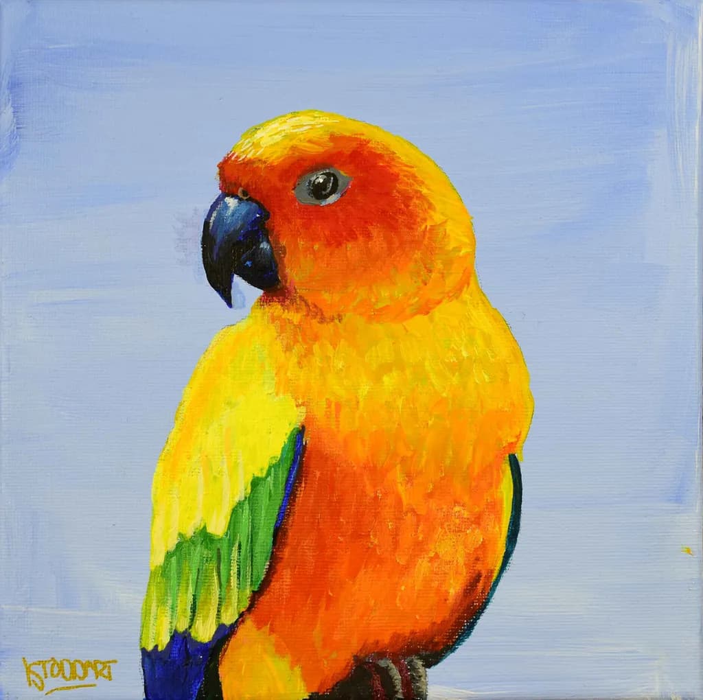 Colorful Parakeet Portrait