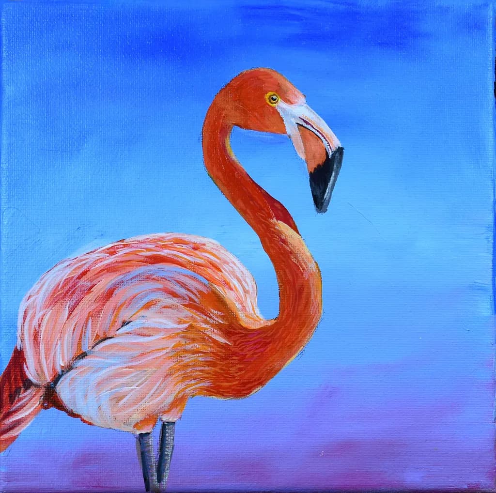 Pelican Portrait