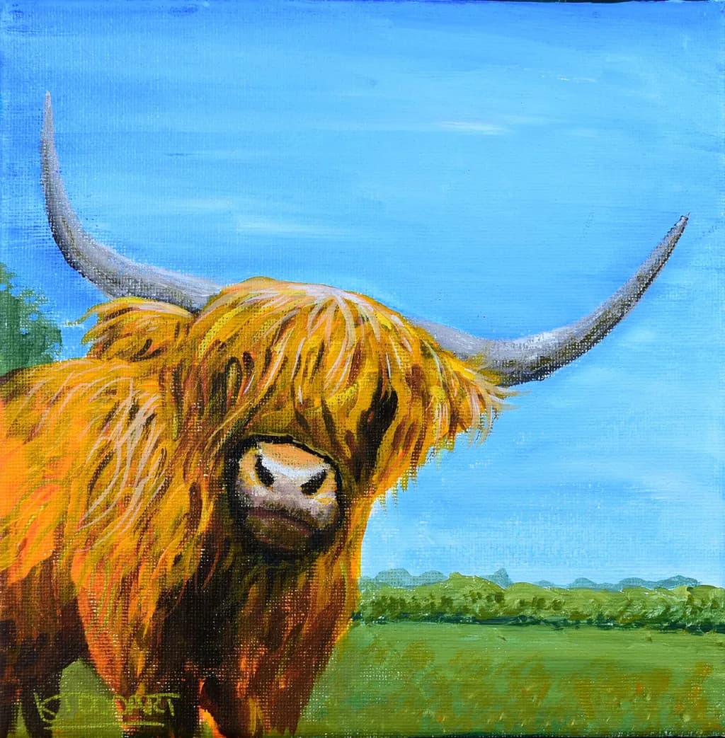 Heilan Coo Highlands