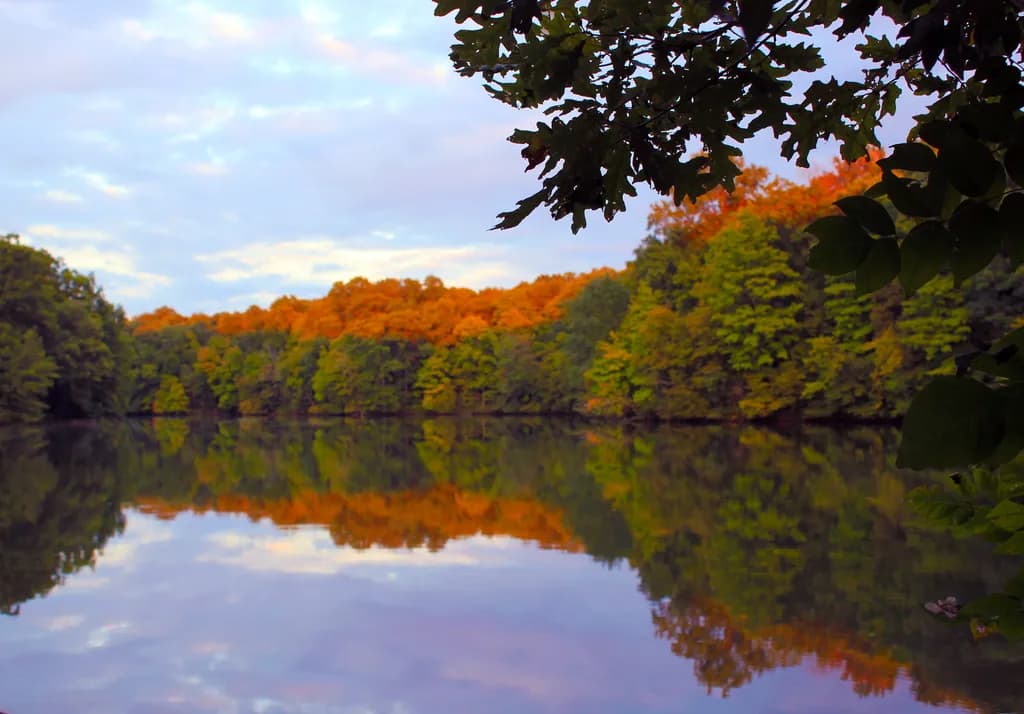 When Autumn Hangs Its Colors on Water