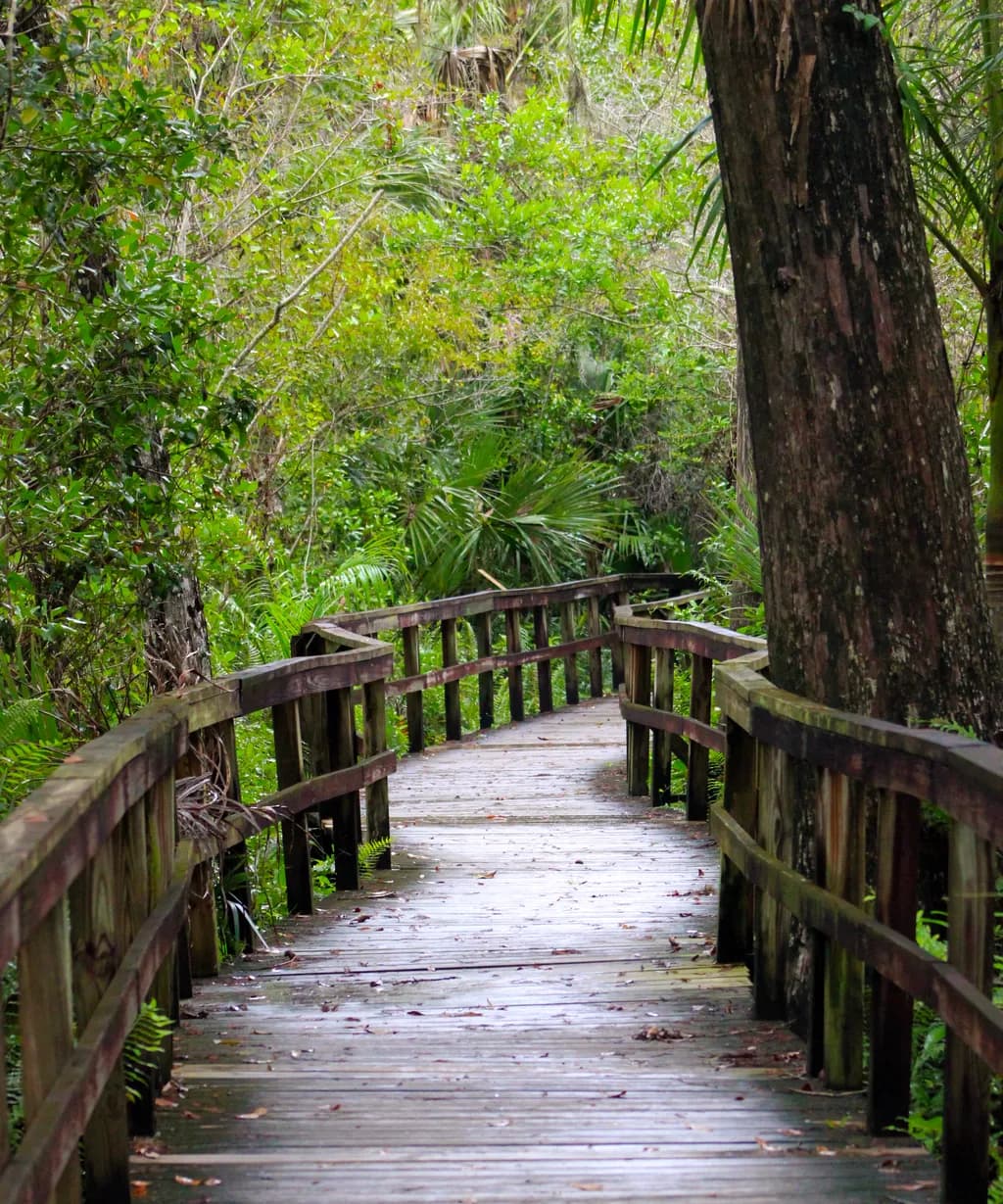 The Bridge to Wherever
