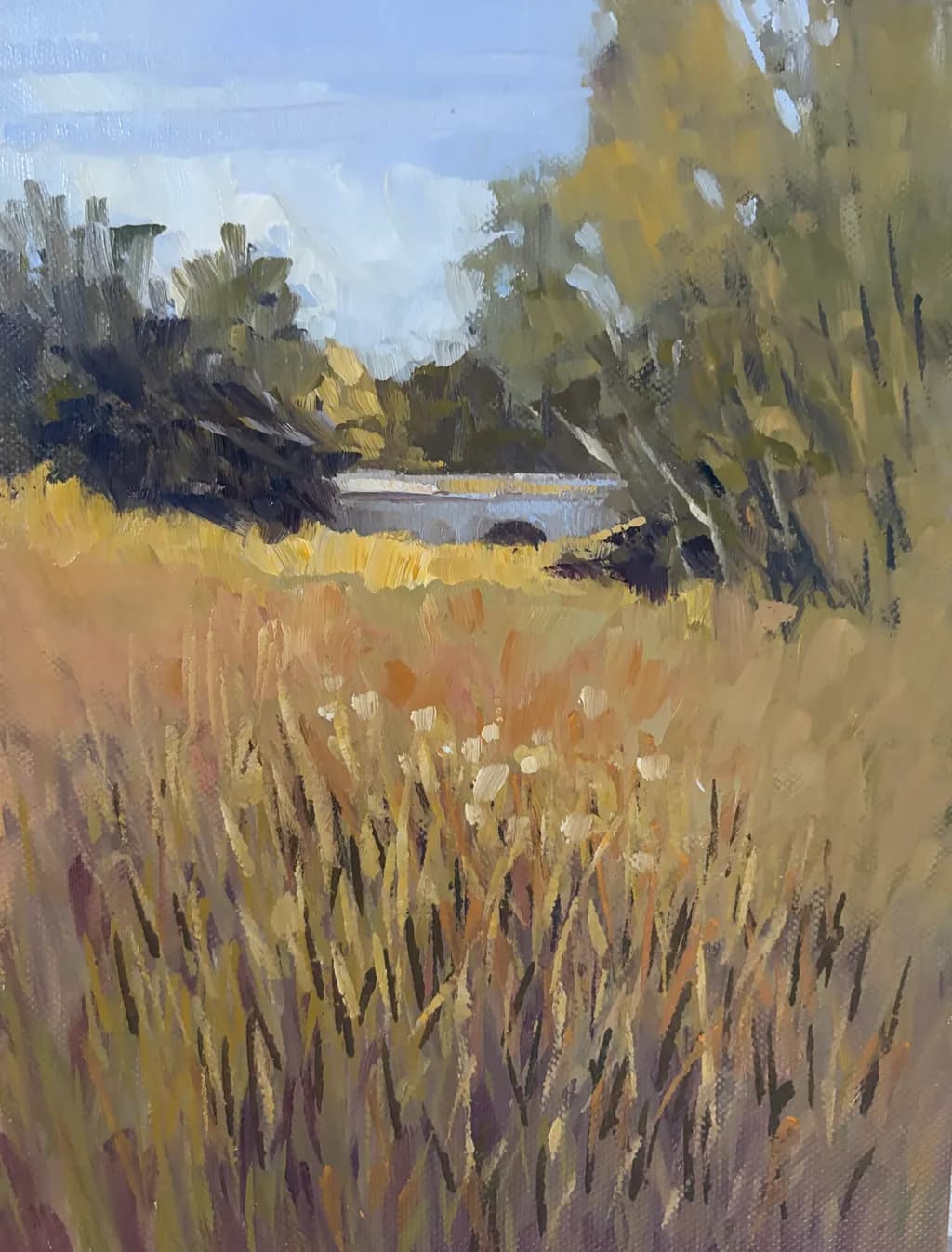 Meadow Bridge