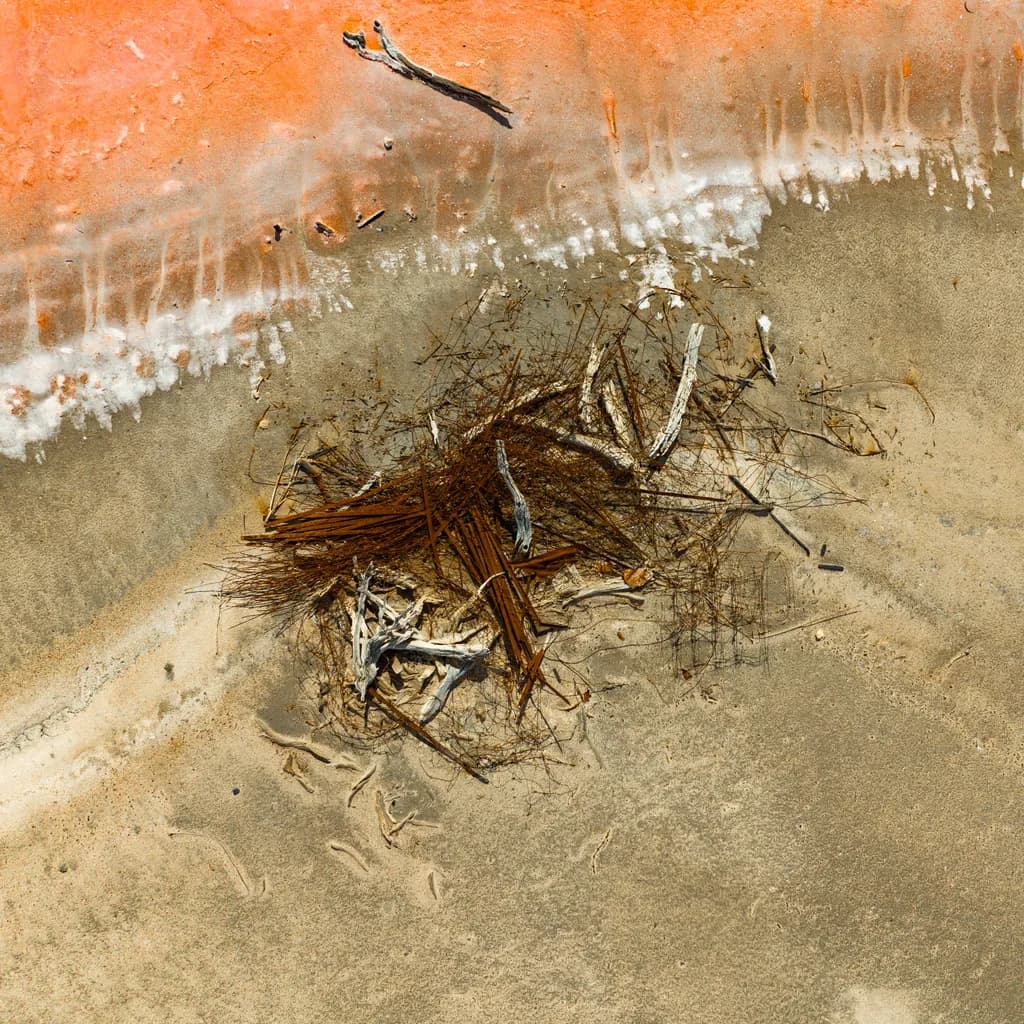 Saffron nest