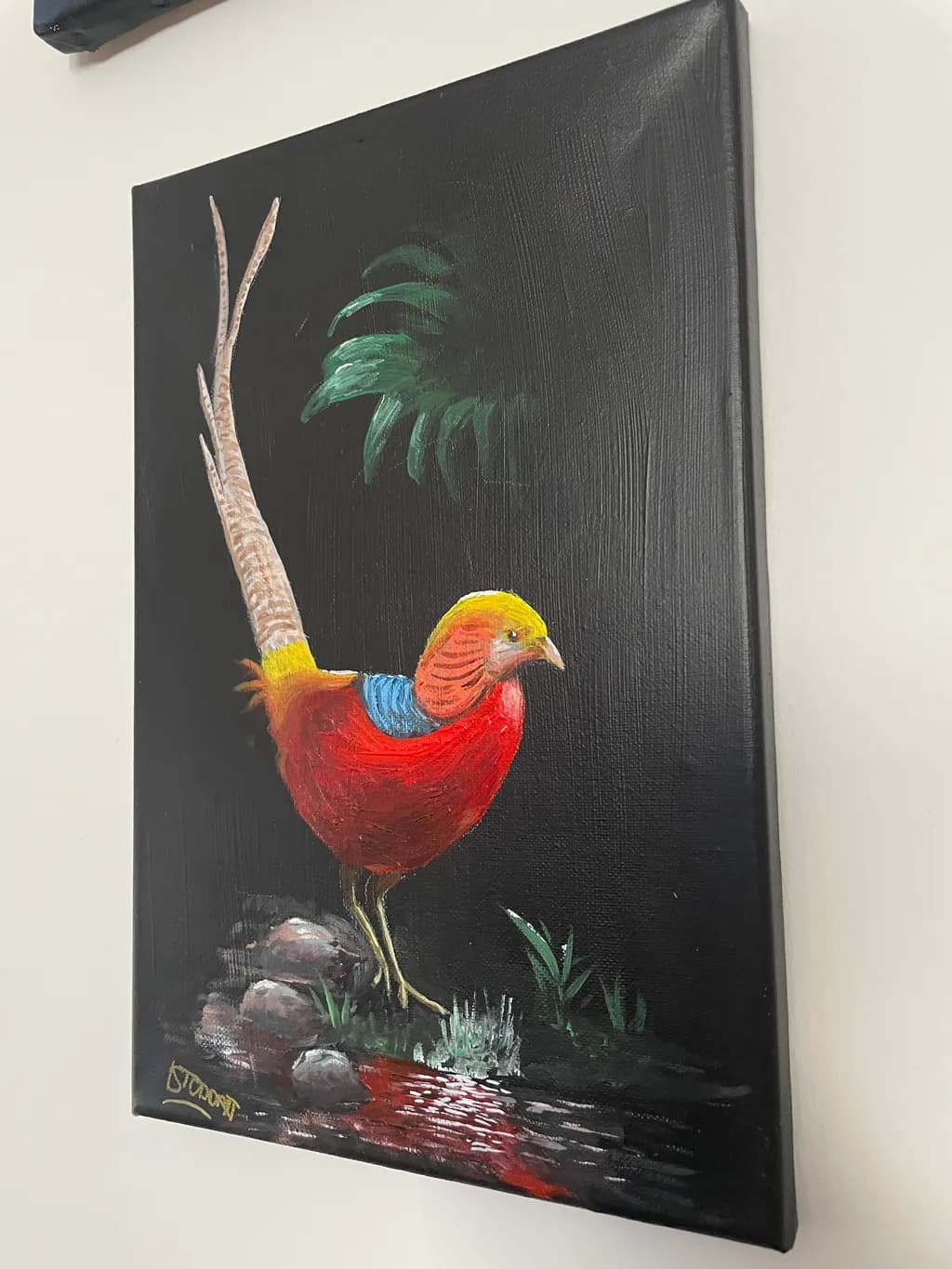 Golden Pheasant Reflection