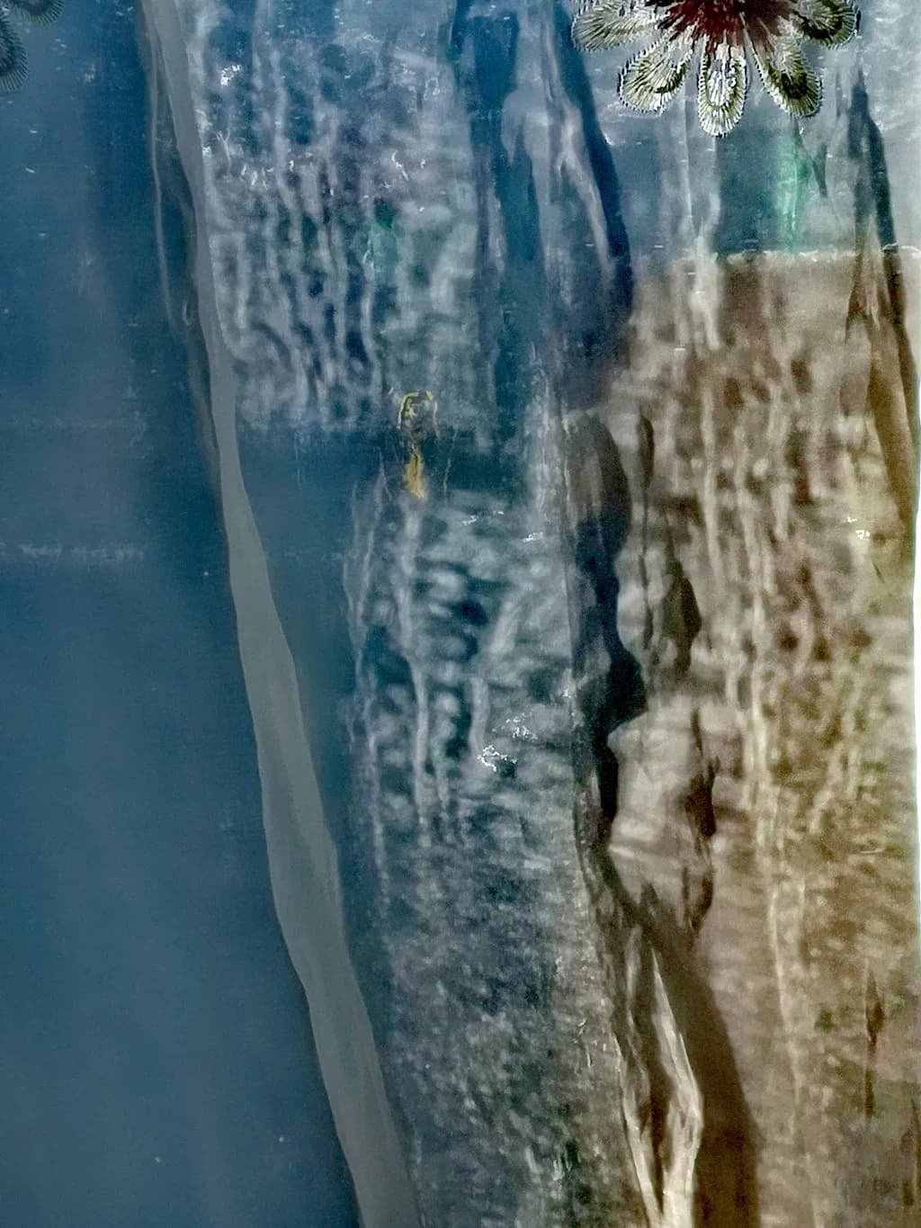 Veiled Currents