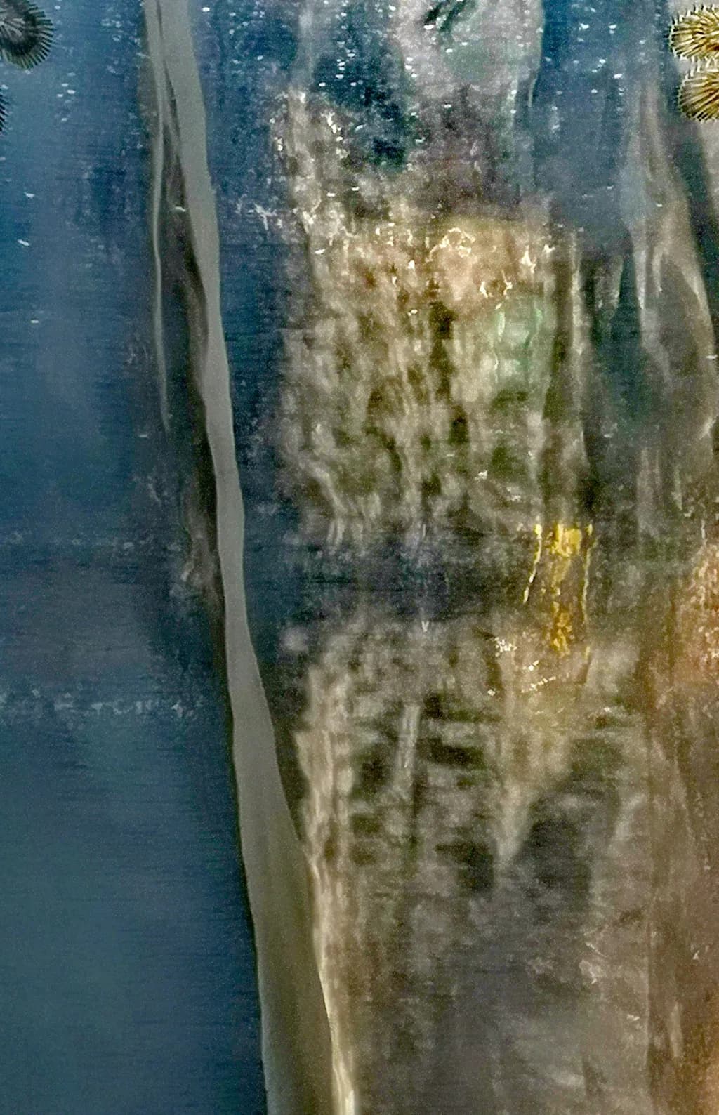 Oceanic Echoes