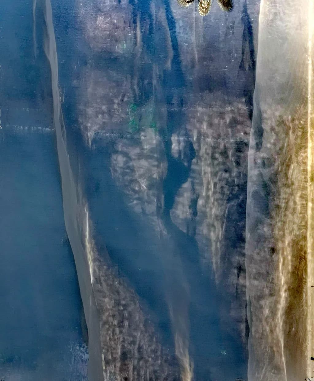 Ocean Veil