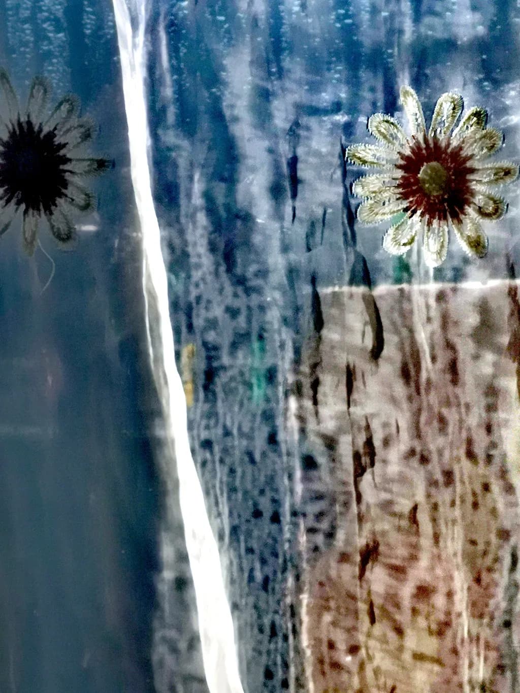 Glass Bloom Reflection