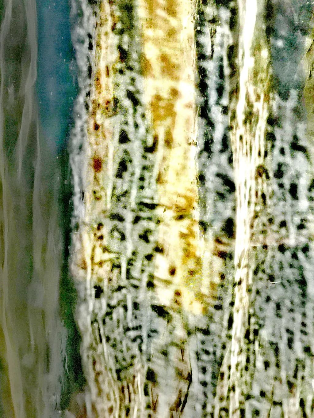 Textured Veil