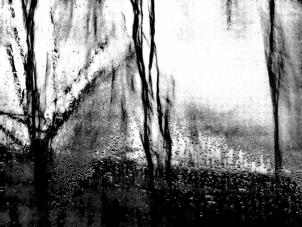 Fogged Reflections