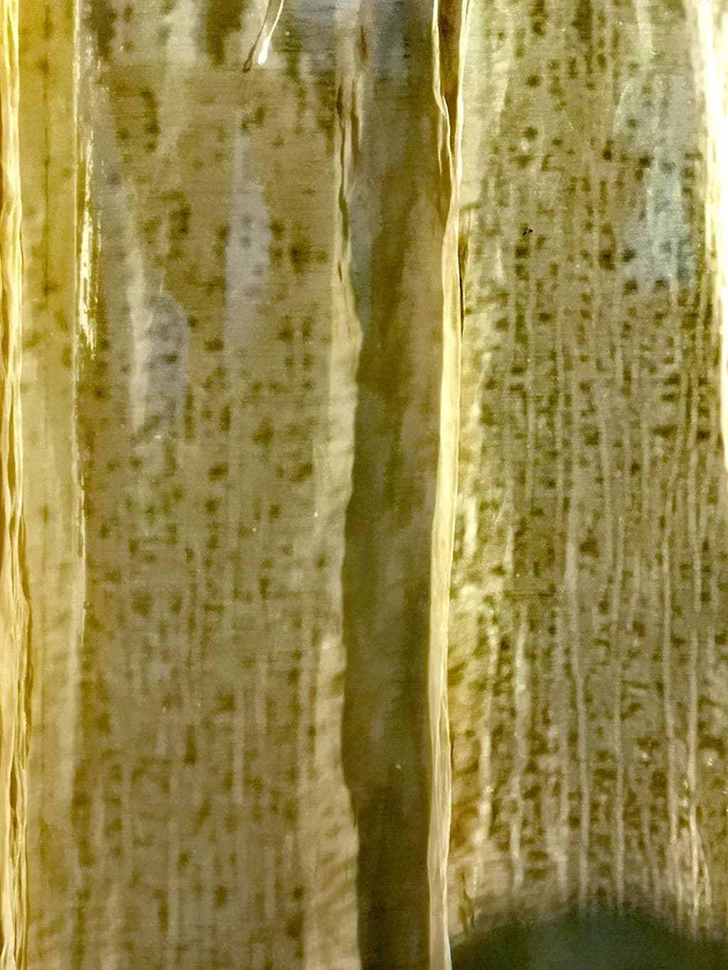 Glazed Olive Texture
