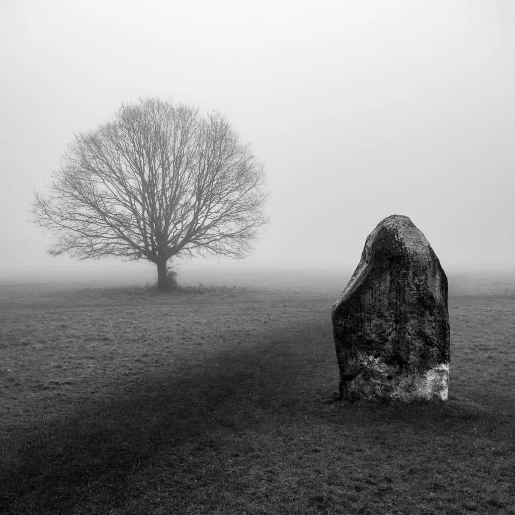 Whispers of Time: A Solitary Tree and Ancient Stone in the Mist