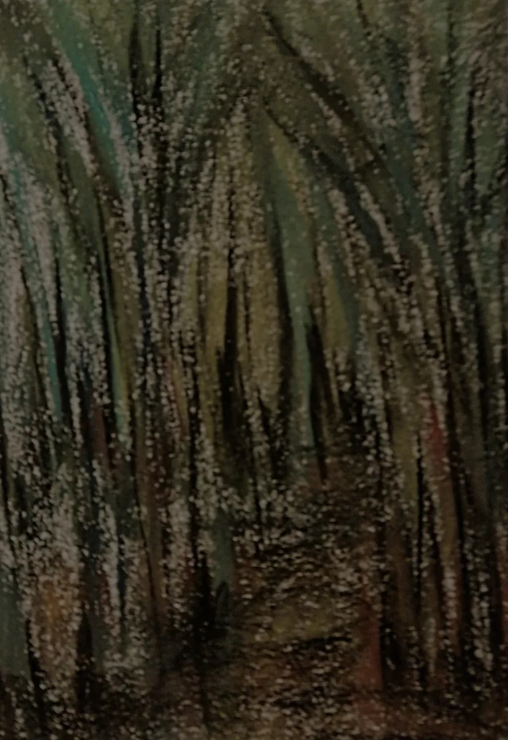 Dappled Thicket