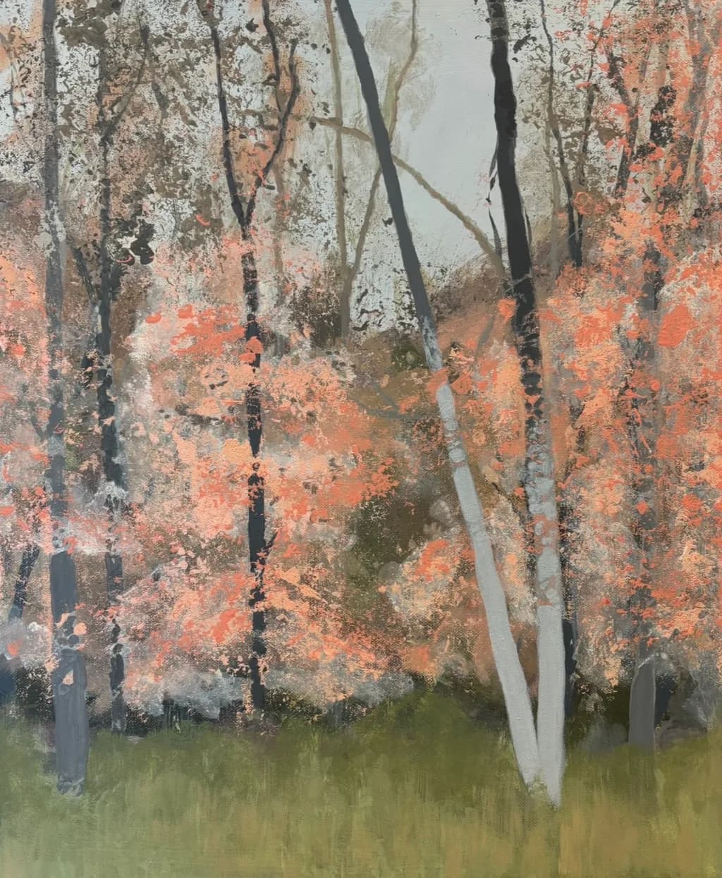 Coral Canopy