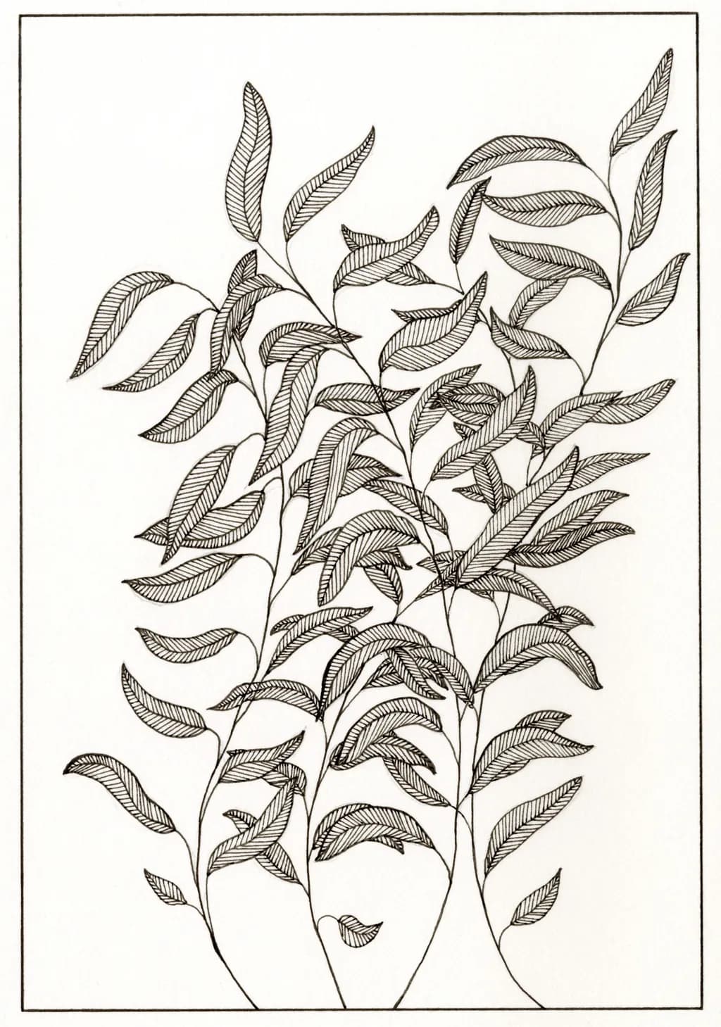 Whispers of Nature: Intricate Botanical Leaves Illustration
