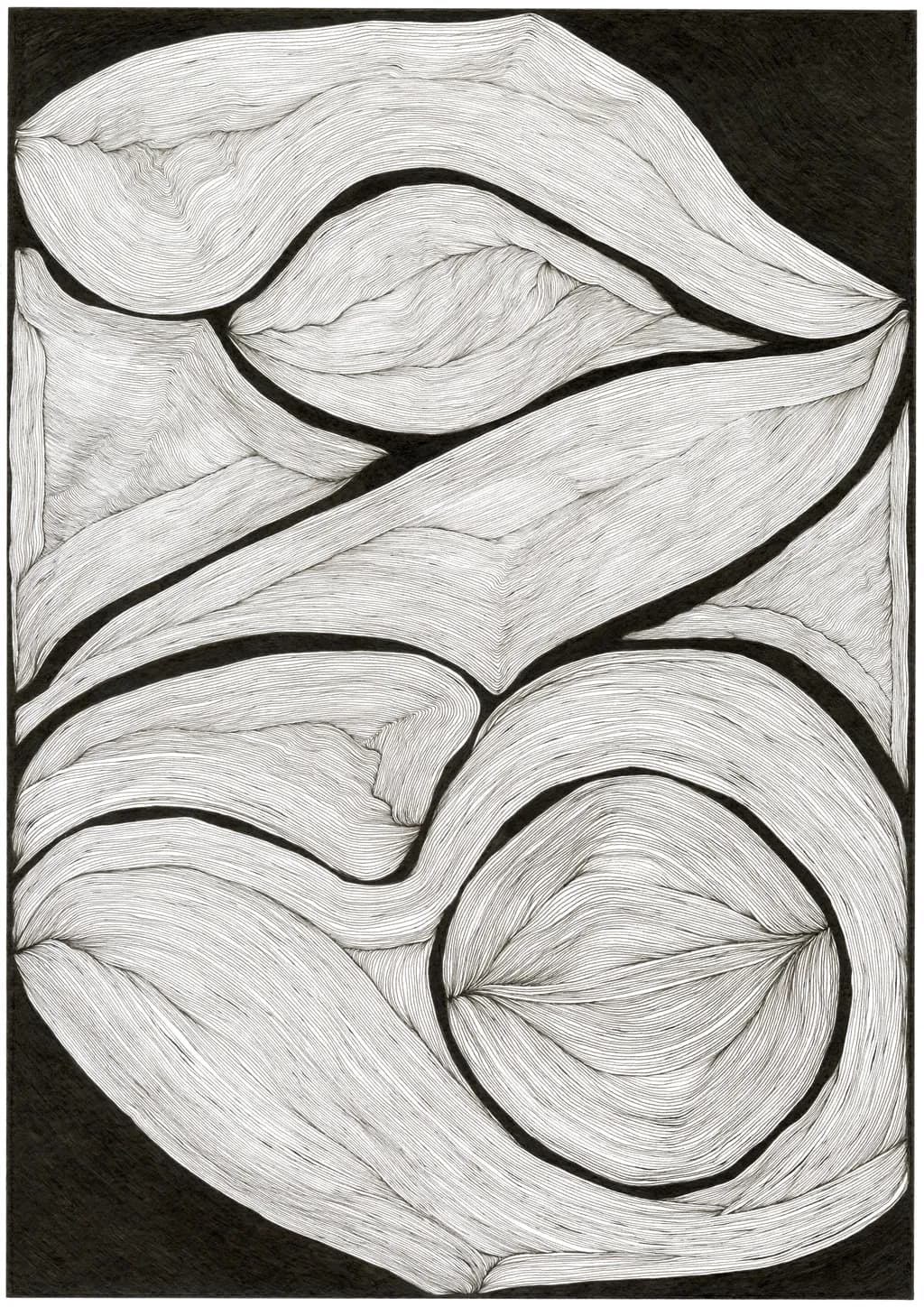 Whispers of Nature: A Dance of Lines and Shadows in Monochrome Elegance