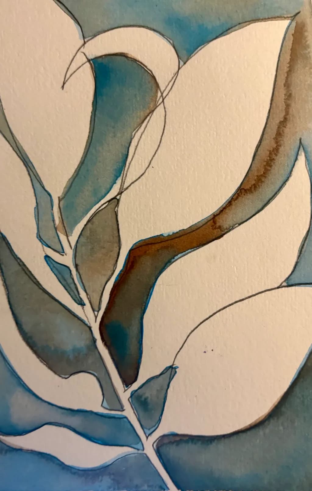 Blueleaf Contours
