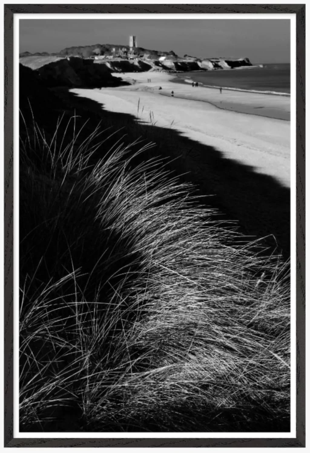 Coastal Shadows