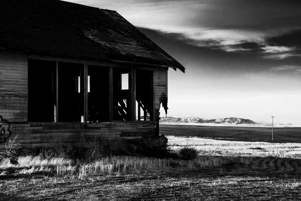 Whispers of the Past: A Haunting Abandoned Homestead in Monochrome Serenity