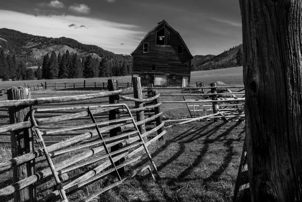Whispers of the Past: A Black and White Journey Through Rural Landscapes and Weathered Barns