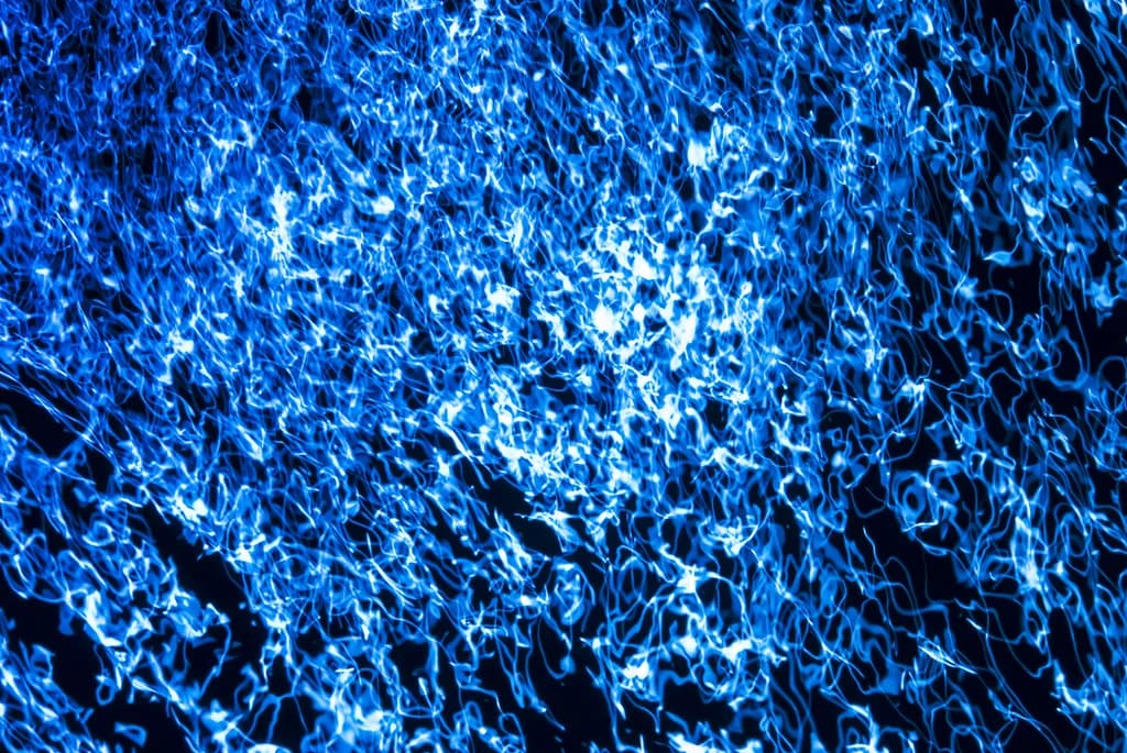 Mckechnie Pollock Abstraction