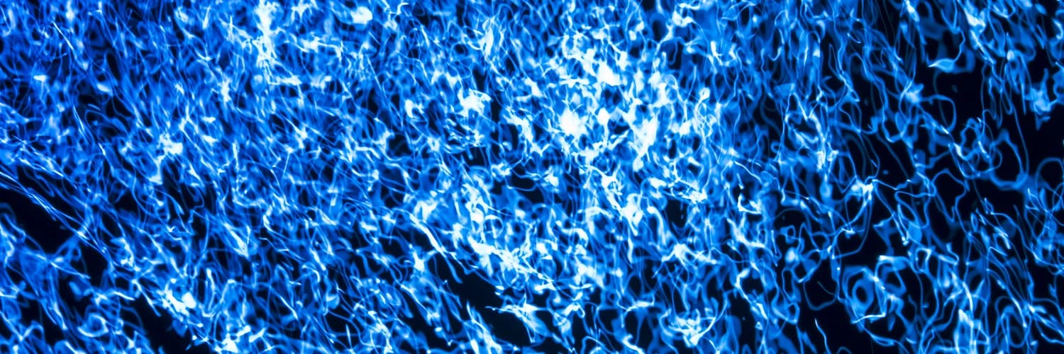Profilbanner