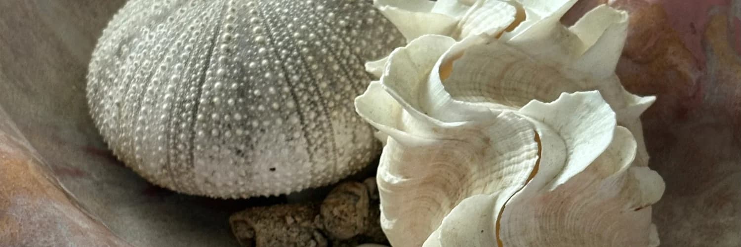 Profilbanner