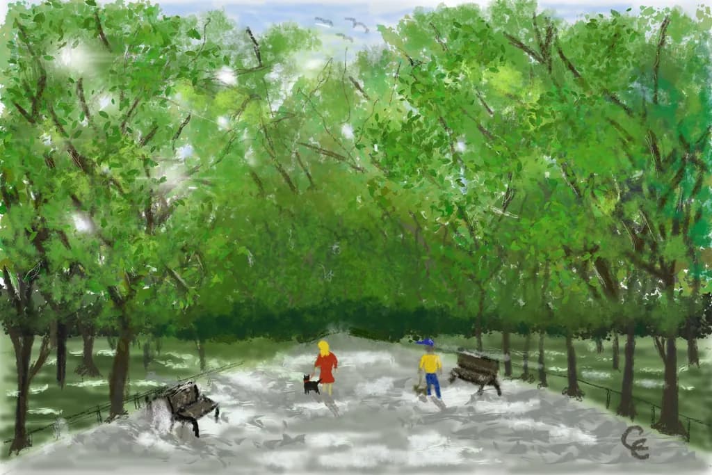 Park Stroll